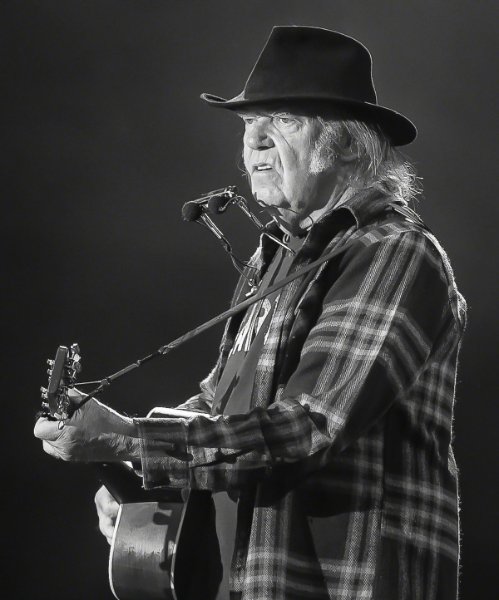 Neil_Young_Stavernfestivalen_2016_(220929).jpg